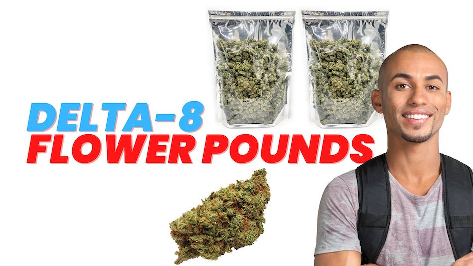 You are currently viewing How To Buy Delta-8 Flower Pounds