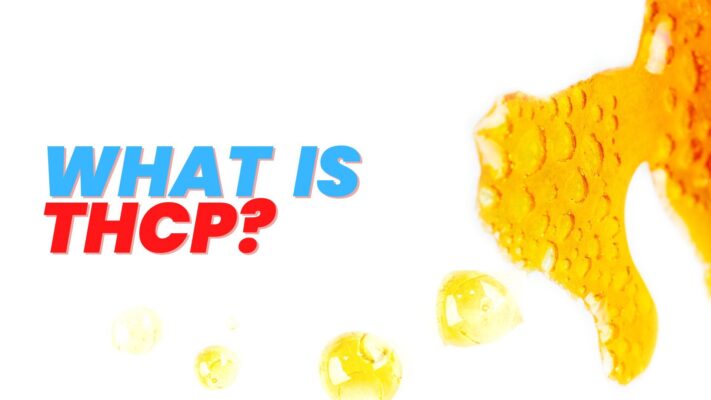 Read more about the article What to Know About THCP