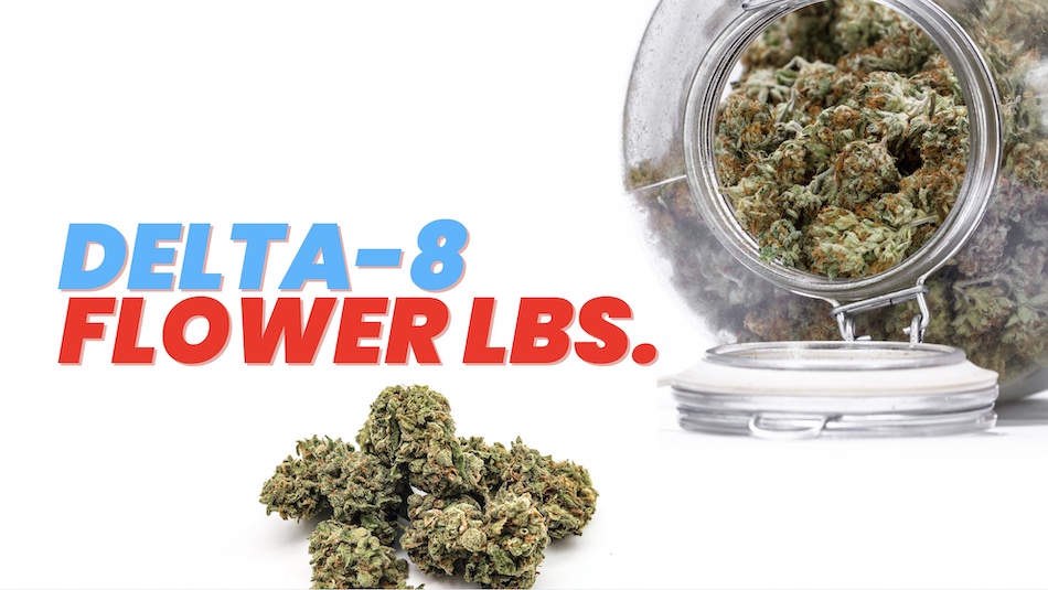 You are currently viewing How To Get The Best Delta 8 Flower Pound For The Money