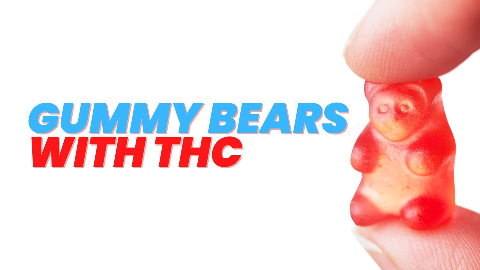 You are currently viewing What to Know About Gummy Bears With THC